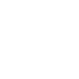 Enseignement équestre